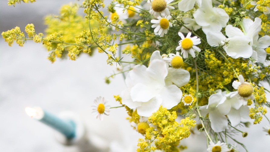 Čtvrté ročníky se loučí aneb Poděkování třídním